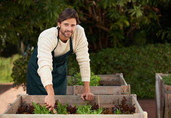 Man, smile and work in garden with plant box for growth, development and nurture of vegetables in Australia. Male person, happy and farming outdoors for hobby, food or production of agriculture