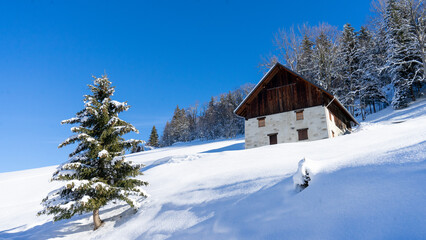 Fototapeta na wymiar Paysage hiver - chalet e sapin enneigés à la montagne