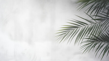 Palm Leaf Shadow Haven