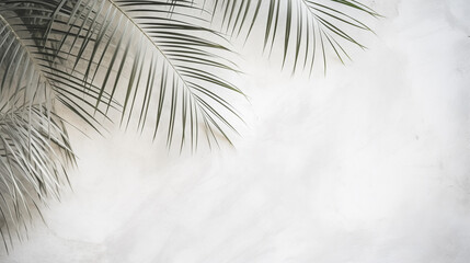 Palm Leaf Shadowy Backdrop