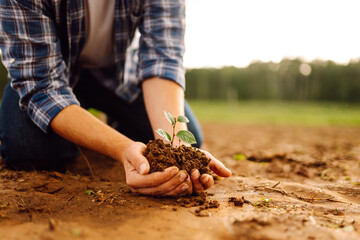 Farmer in his hands with a sprout of young wheat. The concept of gardening, agriculture.