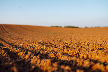 Plowed field before sowing. Fertile land texture, rural field landscape.