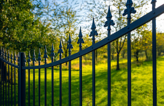 Wrought iron garden gate in the park of a German castle. Black metal fence backlit by the low sun on a summer day in M&uuml;nsterland. Vintage entrance in idyllic atmosphere. 