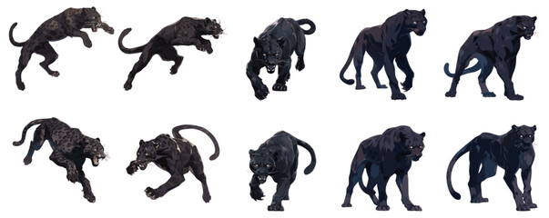 set of illustration of black panther panthera in any several poses. isolated on background