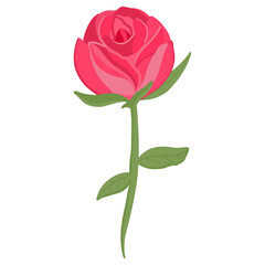 rose