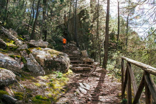 Person climbing stairs surrounded by pine trees in the protected landscape of Pinares de Person walking down some stairs surrounded by pine trees in the protected landscape of Pinares de Rodeno, Albar
