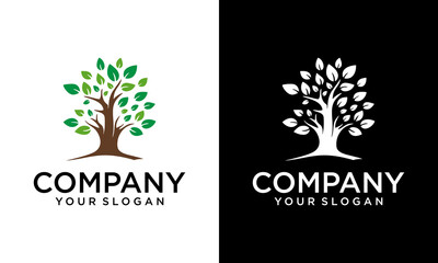 Obraz premium tree vector icon. logo design elements.