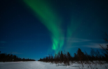 Northern lights (Aurora Borealis) in Swedish Lapland