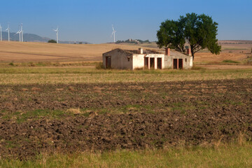 Fototapeta na wymiar Country landscape near Lucera,Apulia, Italy