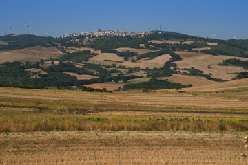 Country landscape near Motta Montecorvino, Apulia, Italy