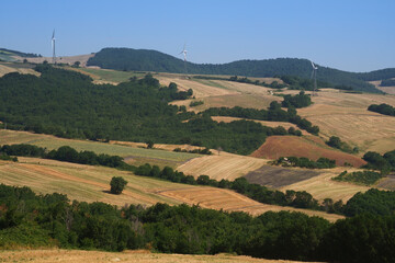 Naklejka premium Country landscape near Motta Montecorvino, Apulia, Italy
