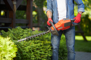 Experienced male gardener cutting off conifer hedges with huge electric loppers on backyard. Crop view of man wearing safety gloves pruning bushes with handle tool in garden. Concept of gardening.