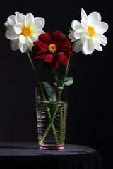 Fowers in a vase on dark moody black background, beautiful romantic composition for celebtarion design and concept, vertical