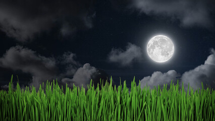 a Green field on the background of the night sky.