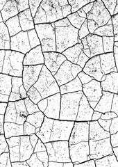 Large cracked texture with a transparent background