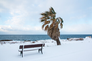 Ionian coast after a exceptional snowfall, Salento, Apulia, Italy