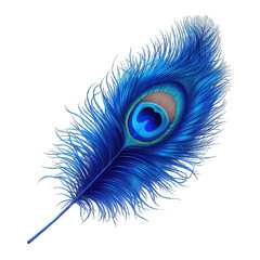 Obraz premium Peacock-Feather-Bright-Blue-0.png 
