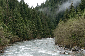 Gold Creek Trail in Ears Provincial Park in British Columbia, Canada