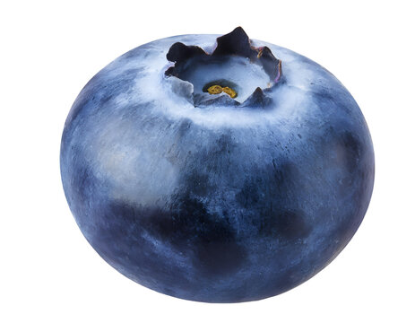 Fresh blueberry