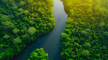 Fototapeta na wymiar Green Elevation: Aerial Bliss in Tropical Waters