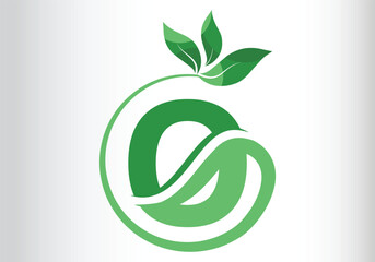Fototapeta premium Letter O Leaf Logo Design Vector letter template design for brand.