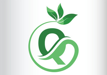 Letter Q Leaf Logo Design  Vector letter template design for brand.