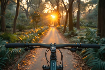 a bike view of spring road in the sunlight professional photography
