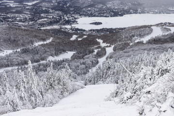 Winter Wonderland at Mont Tremblant: Aerial View of Snow-Covered Pines and Ski Slopes in Quebec, Canada - 730278530