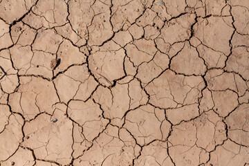 Dry cracked earth background. Global warming, climate change concept.