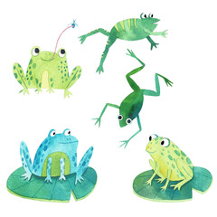Set of cute watercolor frogs, in cartoon style