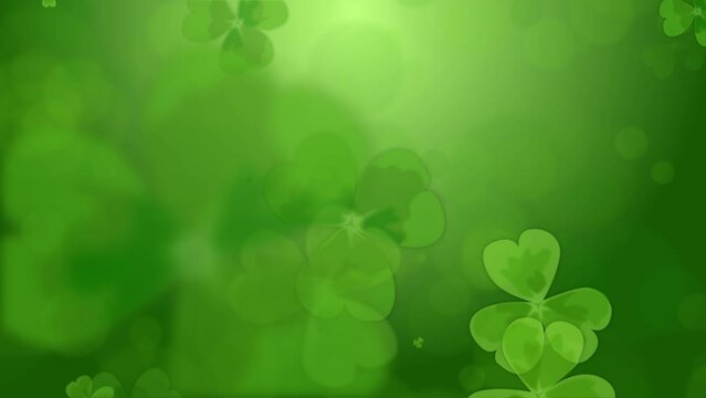 Background with falling clover leaves. Saint Patrick day loop background. Symbol of Ireland, nature, summer. Abstract animation with blurred elements. Copy space.