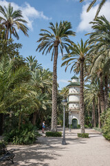 Paseo con palmeras y gran palomar en el parque del Palmeral en el centro urbano de la ciudad de...