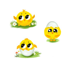 Cute little cartoon chick hatched from an egg isolated on grass with flowers