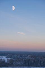 moon in the evening blue sky over the winter forest