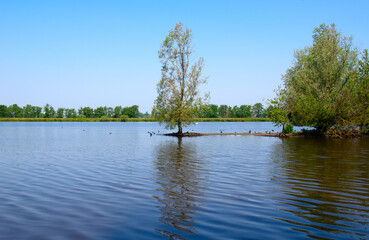 Landscape of a lake and blue sky reflected.