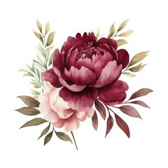 watercolor burgundy peony clipart for graphic resources