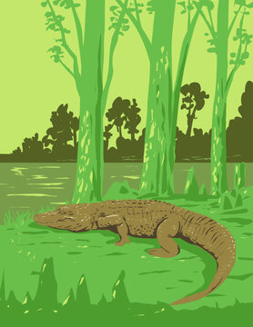 Art Deco or WPA poster of an alligator in Jean Lafitte National Historical Park and Preserve located in the Mississippi River Delta region, Louisiana USA done in works project administration style.
