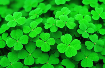 Green background with four-leaved shamrocks, Lucky Irish Four Leaf Clover in the Field for St. Patricks Day holiday symbol. with four-leaved shamrocks, St. Patrick's day holiday symbol