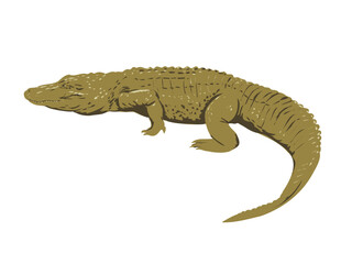 Art Deco or WPA poster of an American alligator viewed from side on isolated background done in works project administration style.

