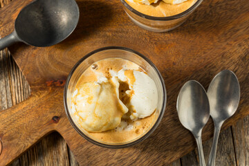 Frozen Sweet Affogato Coffee Dessert