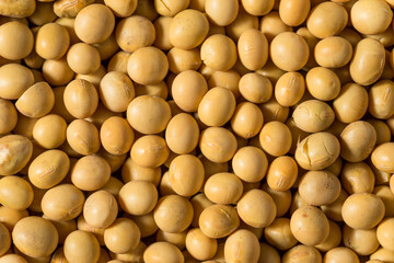 Dried Organic Soy Beans