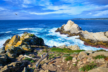 Fototapeta na wymiar Point Lobos, Carmel, California 
