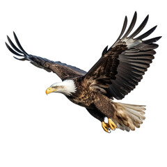 Naklejka premium American Eagle in Flight. Majestic Bird in Action. Isolated on a Transparent Background. Cutout PNG.