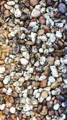 Nature's Pebble Beach, Stone Wall Texture Background