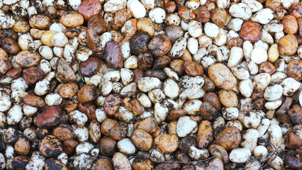Nature's Pebble Beach, Stone Wall Texture Background