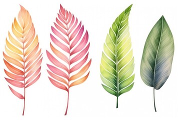 Colorful palm leaf