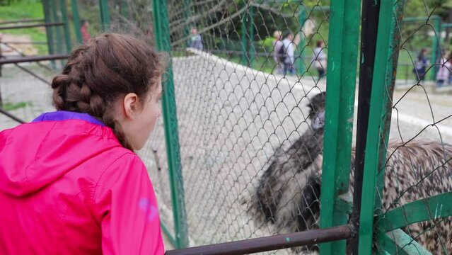 Girl in red looks at ostrich in the zoo in spring day, slow motion