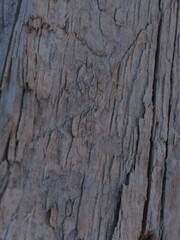 texture
