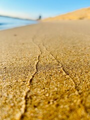 footprints in the sand