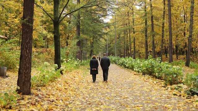 Walking elderly couple in park alley, on rainy autumn day, slow motion